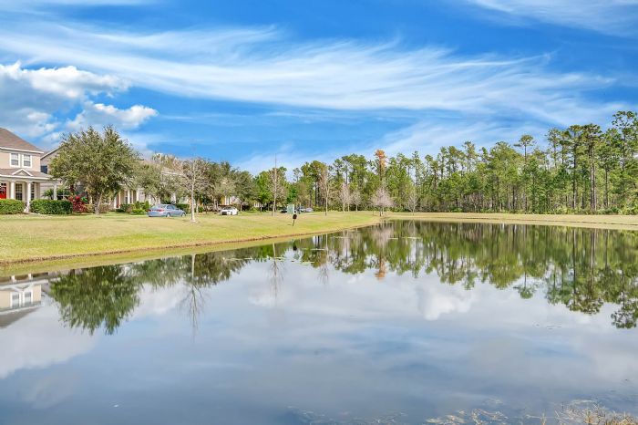 14327-peacock-springs-trail--orlando--fl-32828----01---community.jpg