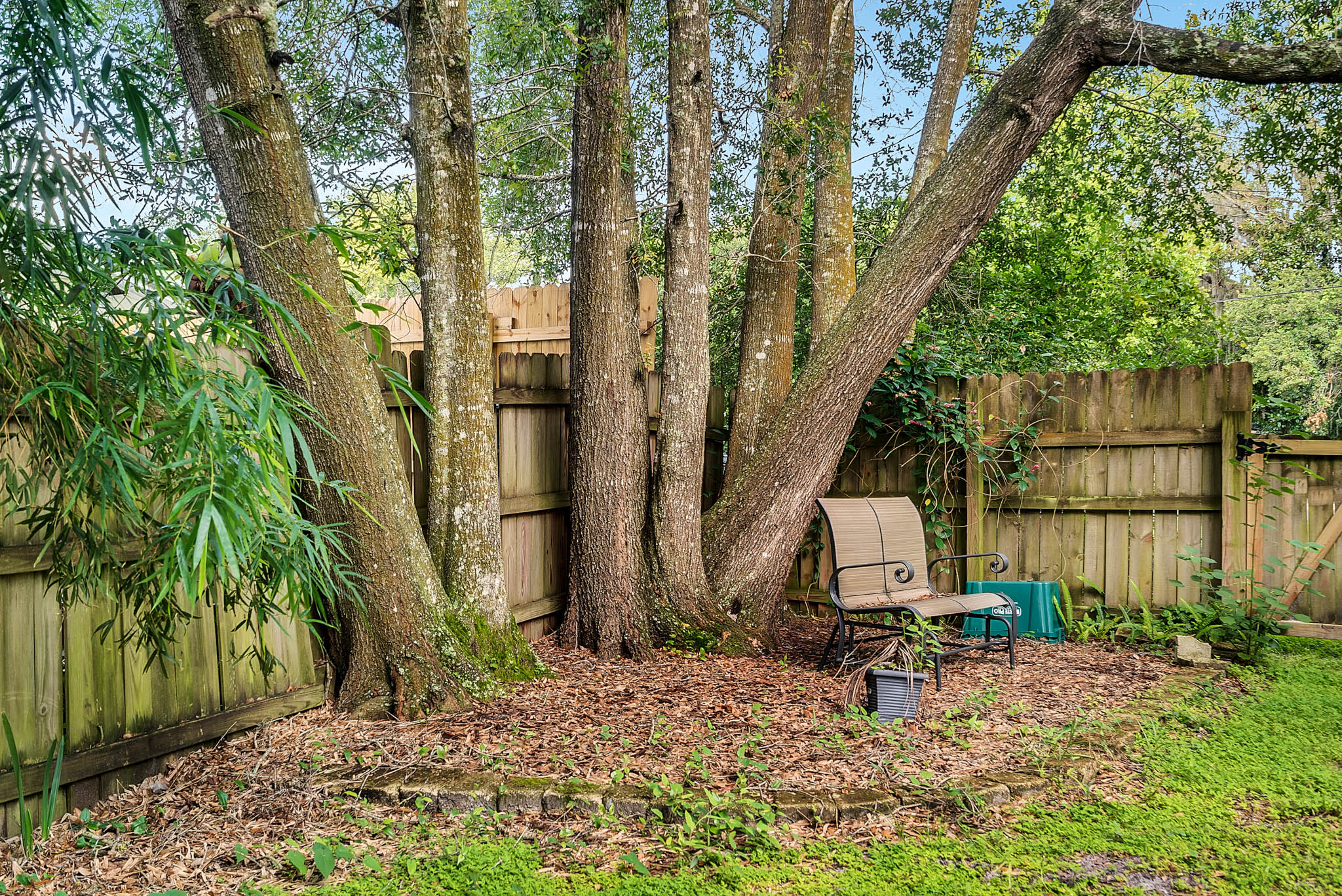1334-Quintuplet-Dr--Casselberry--FL-32707----18---Backyard.jpg