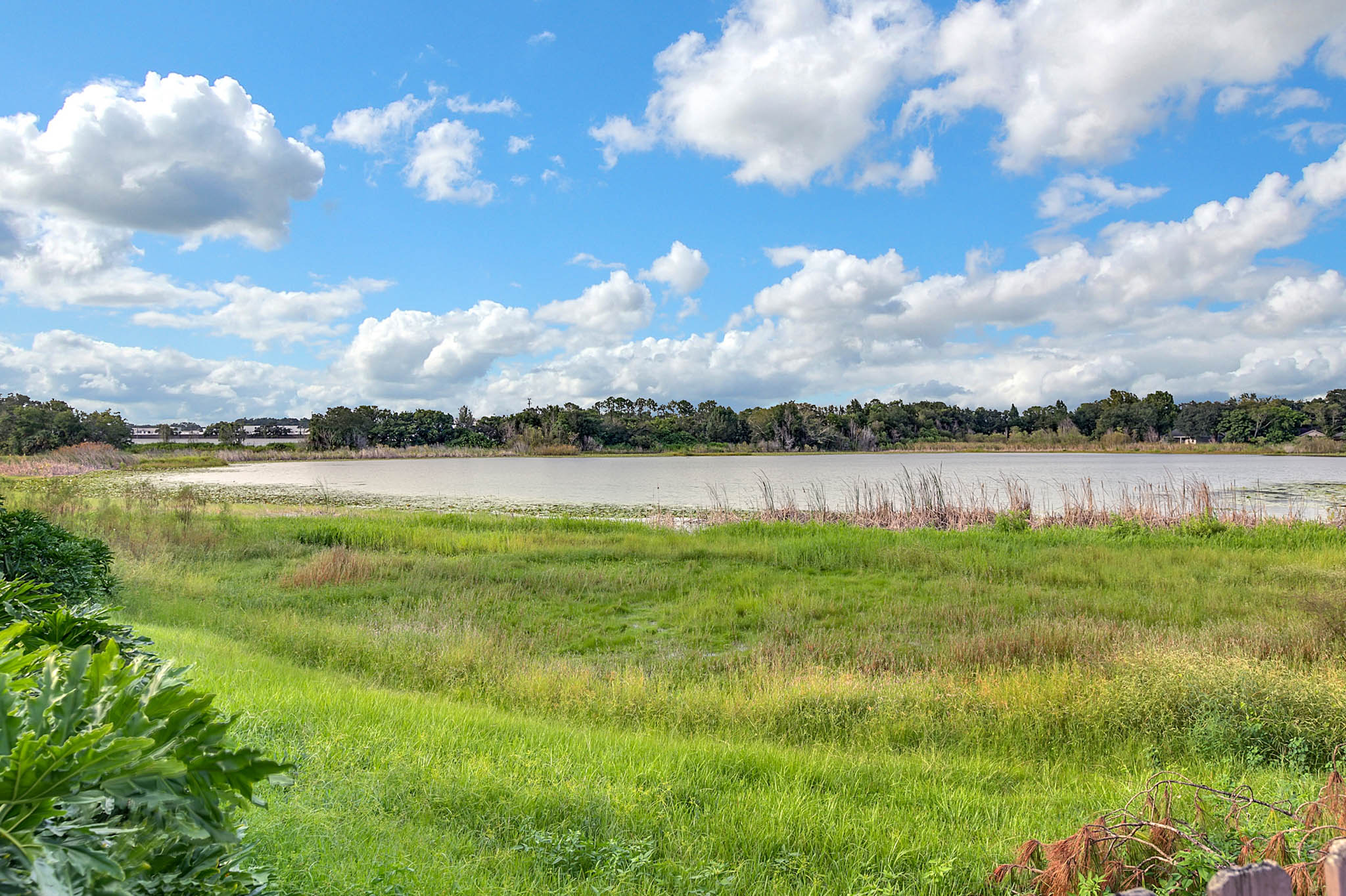 2439-Lake-Jackson-Cir--Apopka--FL-32703---18---.jpg
