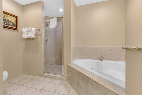 8774-Worldquest-Blvd-APT-7102--Orlando--FL-32821----08---Master-Bathroom.jpg