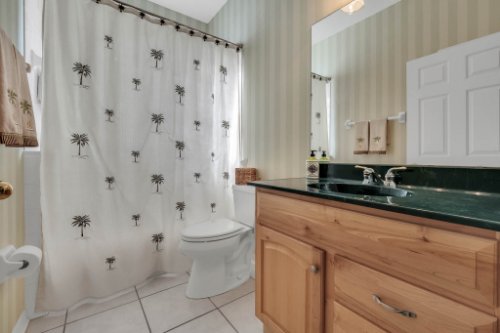 8015-St-James-Way--Mt-Dora--FL-32757----16---Bathroom.jpg