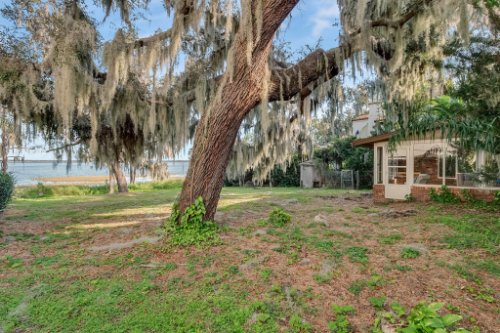 5347-W-Lake-Butler-Rd--Windermere--FL-34786----23---Backyard.jpg