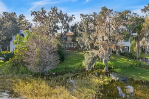 5347-W-Lake-Butler-Rd--Windermere--FL-34786----30---Aerial.jpg