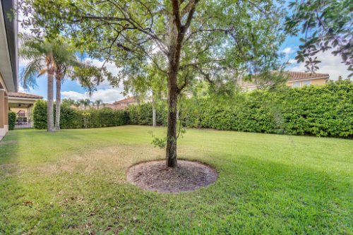 1241-Bella-Vista-Cir--Longwood--FL-32779----35---Backyard.jpg
