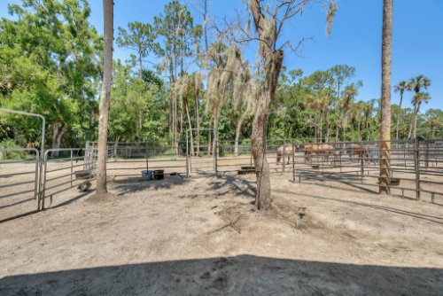 1200-lake-harney-woods-blvd--mims--fl-32754---11---reshoot.jpg