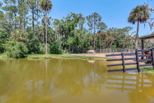 1200-lake-harney-woods-blvd--mims--fl-32754---12---reshoot.jpg