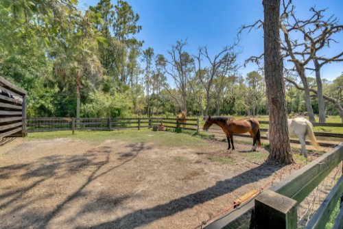 1200-lake-harney-woods-blvd--mims--fl-32754---16---reshoot.jpg