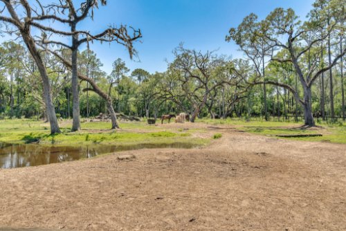 1200-lake-harney-woods-blvd--mims--fl-32754---17---reshoot.jpg