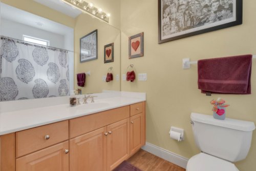 10957-emerald-chase-dr--orlando-fl--32836---10.jpg