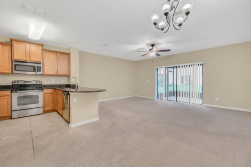 1567-downy-birch-lane--longwood--fl-32750----19.jpg