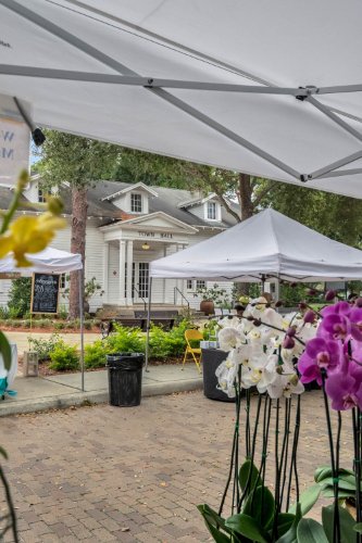 836-oakdale-street--windermere--fl-34786----community--11-.jpg
