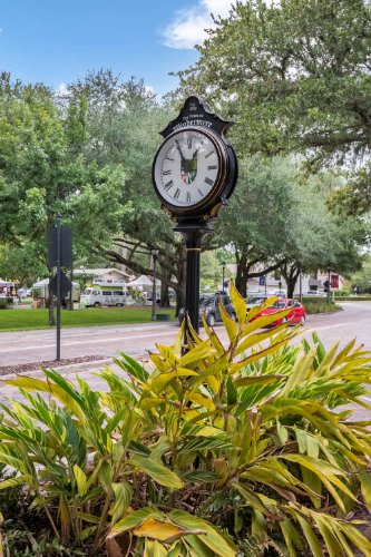 836-oakdale-street--windermere--fl-34786----community--16-.jpg