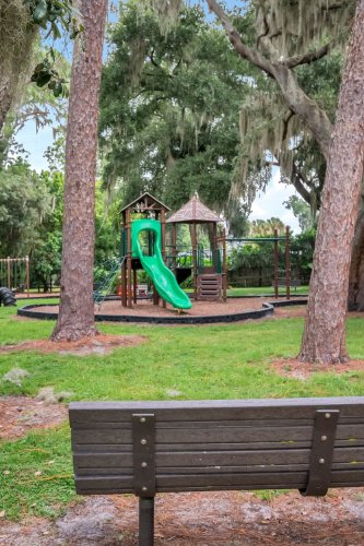 836-oakdale-street--windermere--fl-34786----community--32-.jpg