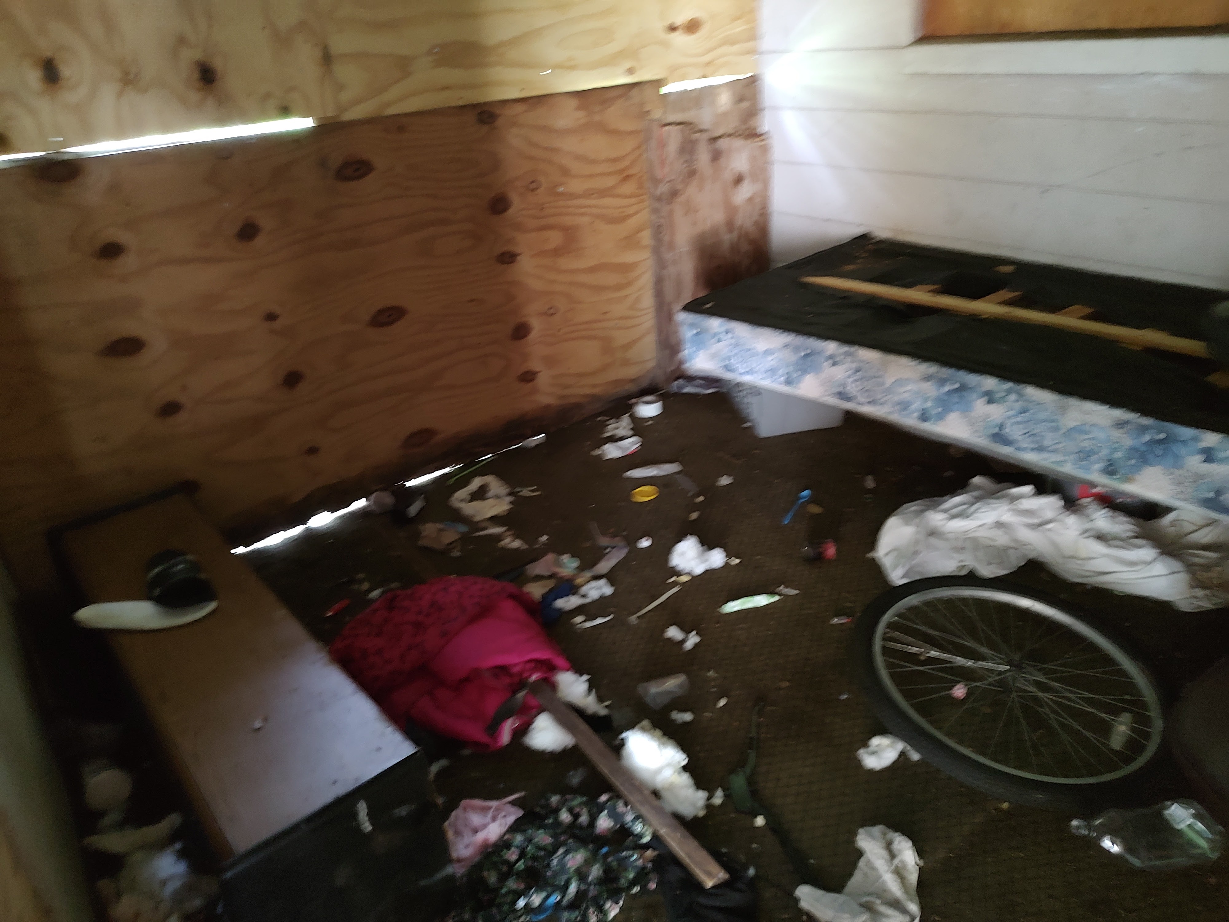img-20230706-113644371.jpg