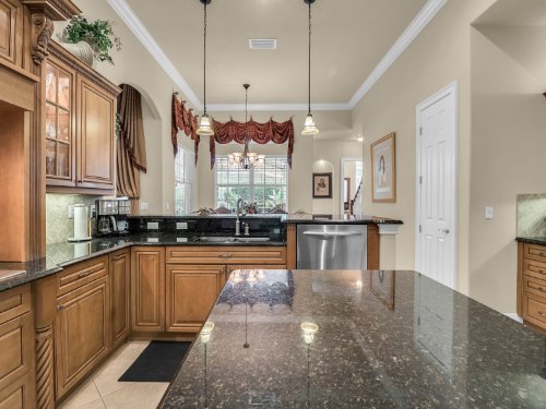 6239-rydal-court--windermere--fl-34786----46.jpg