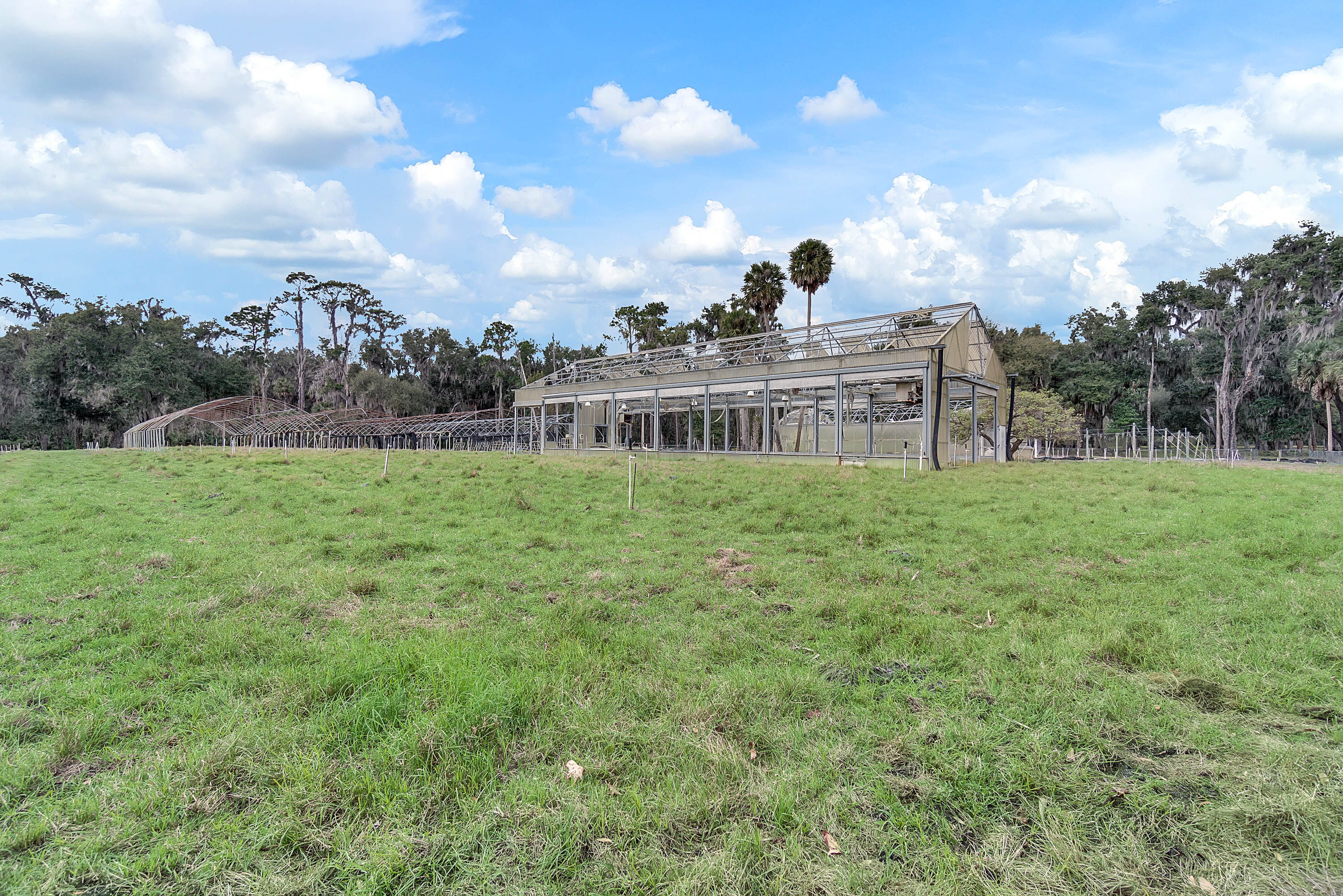 1050-enterprise-osteen-road--deltona--fl-32725----38.jpg