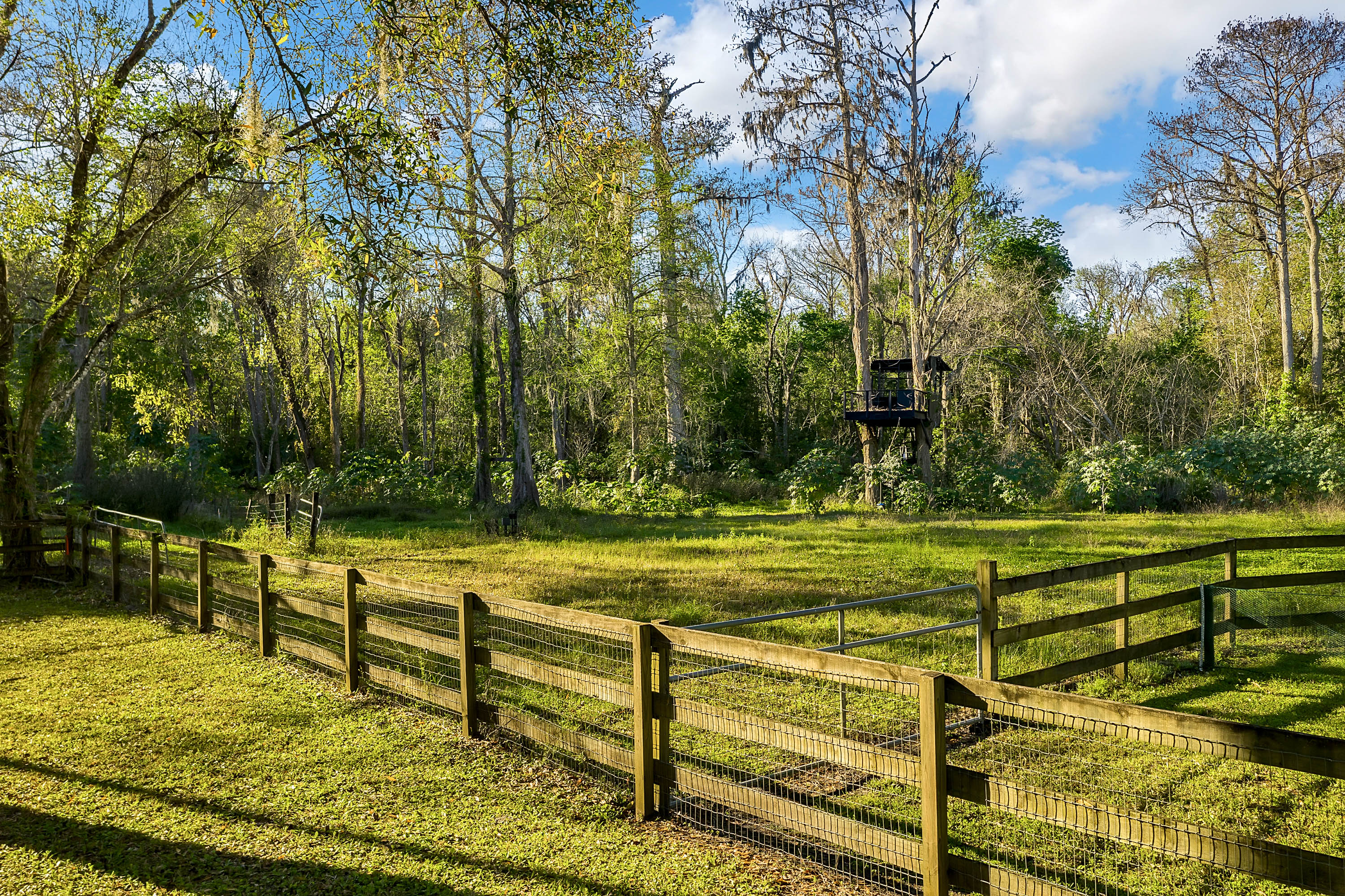 638-south-country-club-road--lake-mary--fl-32746----09.jpg
