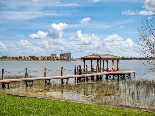 8707-southern-breeze-drive--orlando--fl-32836---50-.jpg