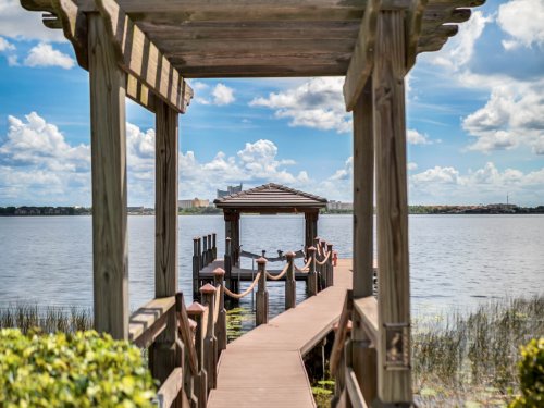 8707-southern-breeze-drive--orlando--fl-32836---51-.jpg
