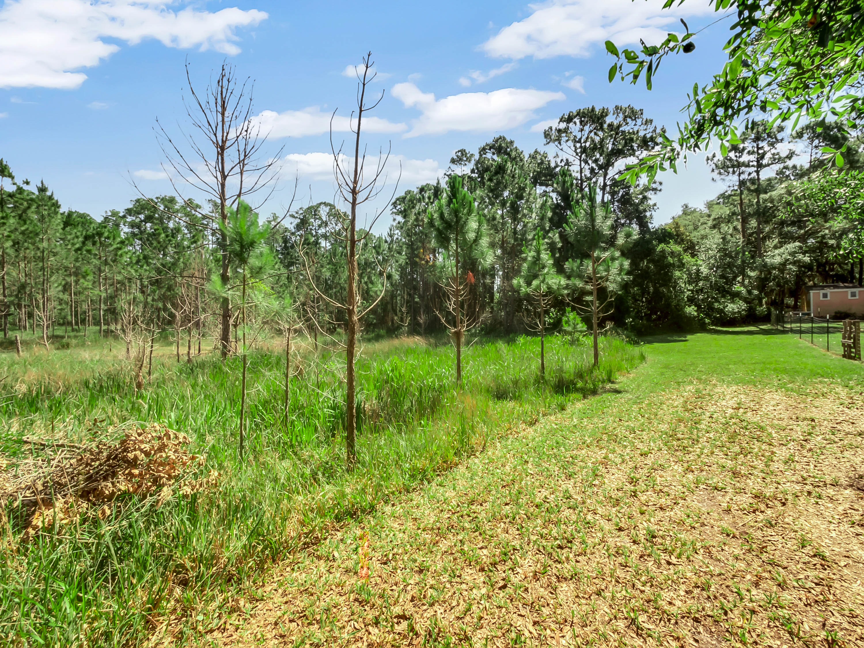 2858-wyman-court--deltona--fl-32738---35.jpg