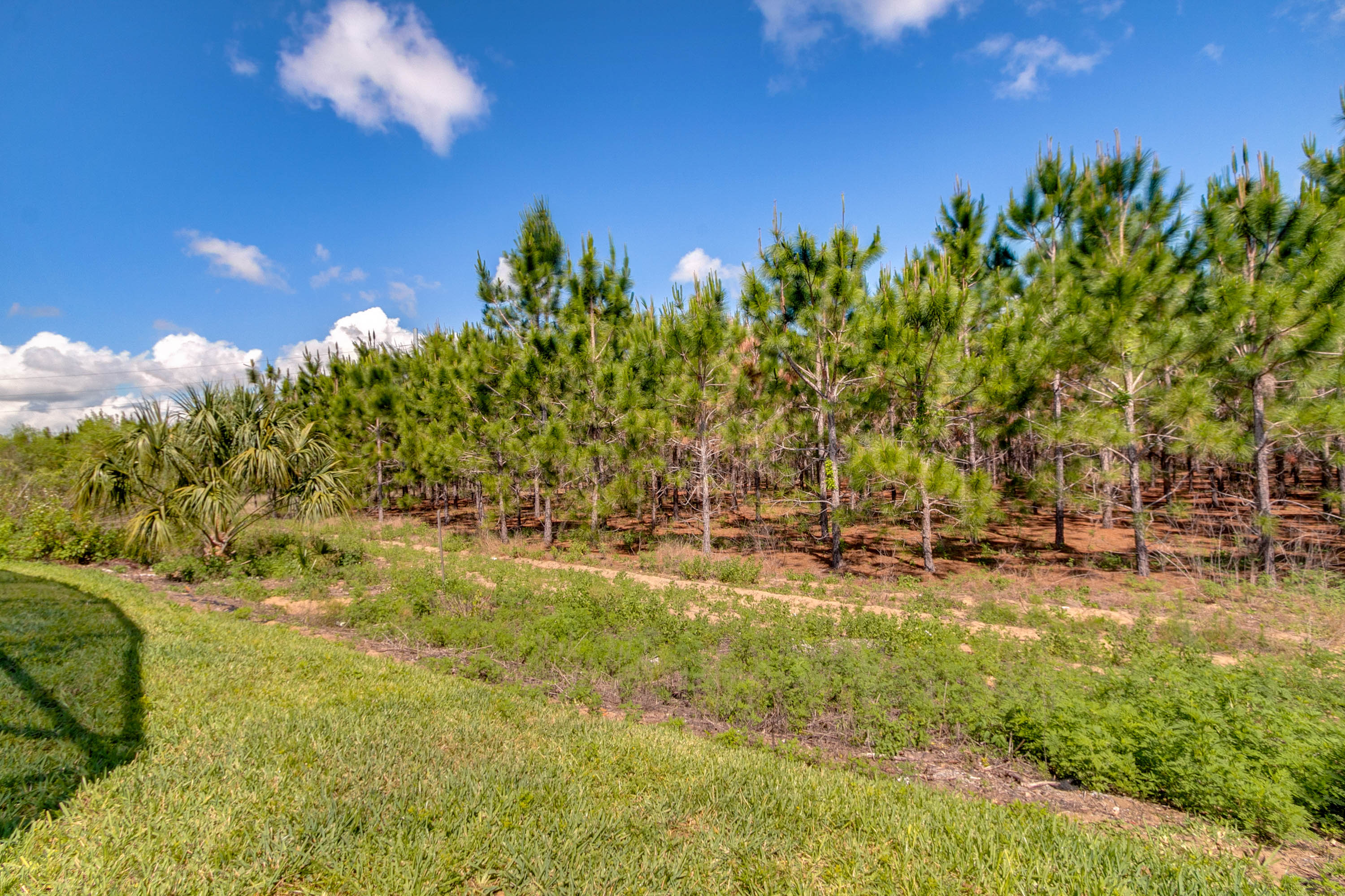 2663-autumn-creek-circle--kissimmee--fl-34747---27.jpg