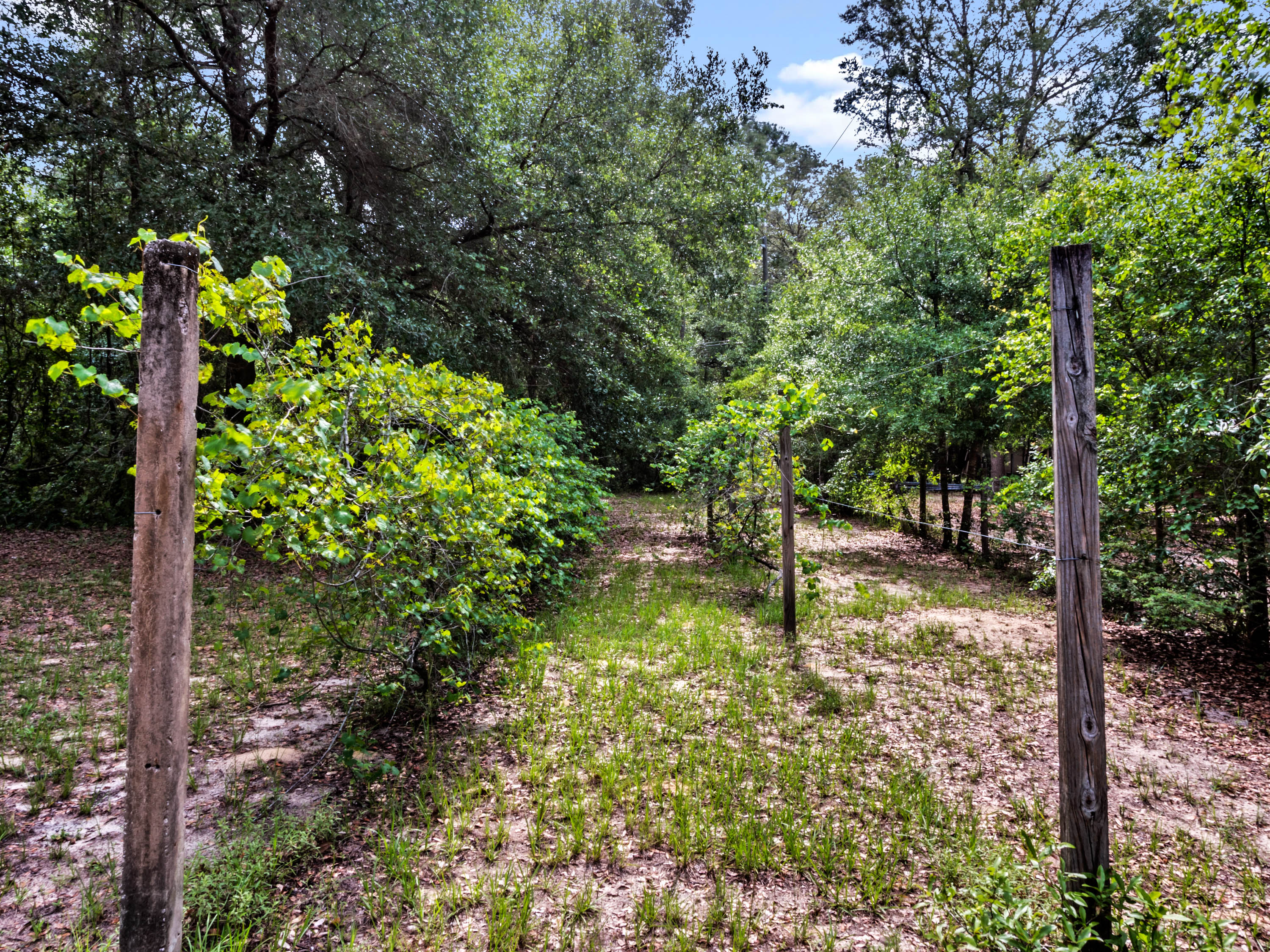 3307-little-joe-court--apopka--fl-32712---39.jpg