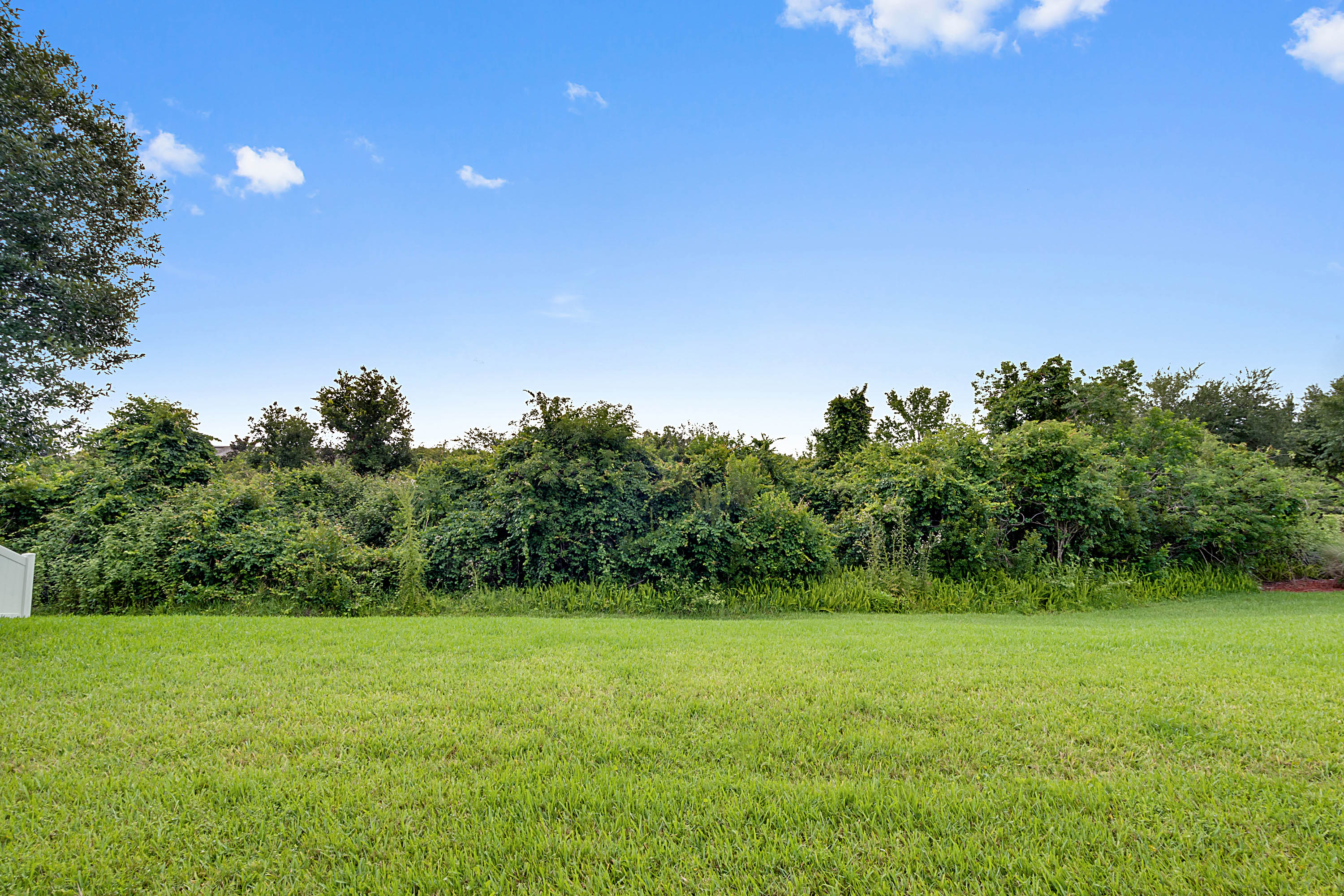 14310-windigo-lane--orlando--fl-32828---03.jpg