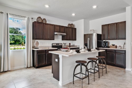vale-by-express-homes--davenport---fl-33837---20.jpg