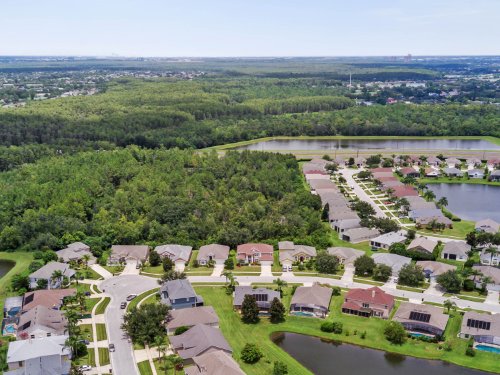 3181-hanging-moss-circle--kissimmee--fl-34741---42.jpg