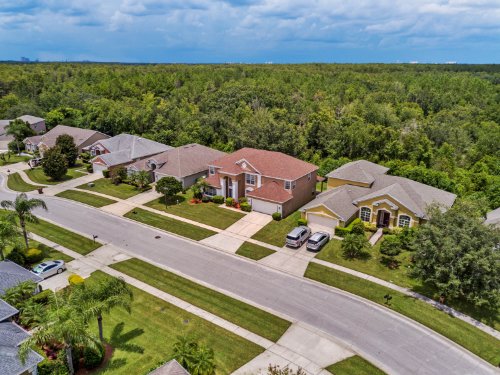 3181-hanging-moss-circle--kissimmee--fl-34741---50.jpg