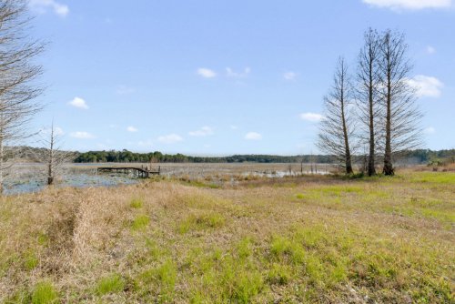 201-grassy-lake-road--minneola--fl-34715---16.jpg