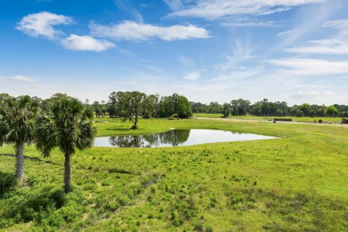 3409-lake-diane-road--tavares--fl---17.jpg