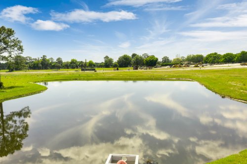 3409-lake-diane-road--tavares--fl---19.jpg