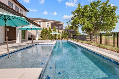 10738-gawsworth-point--orlando--fl-32832---23.jpg