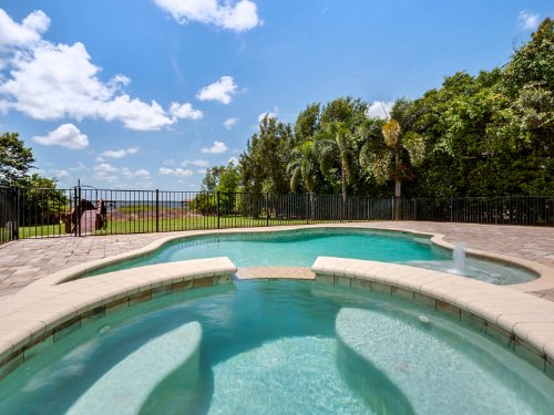 10393-hart-branch-circle--orlando--fl-32832---46.jpg