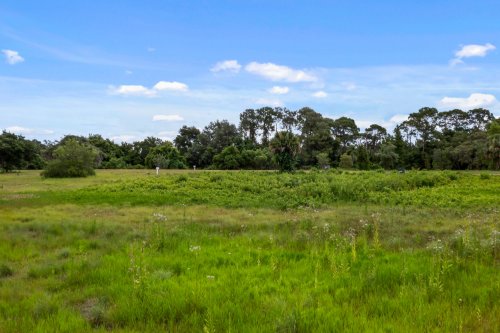 grand-oak-lane-lot-35--tavares--fl-32778---02.jpg