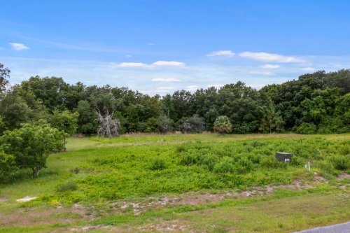 grand-oak-lane-lot-35--tavares--fl-32778---09.jpg