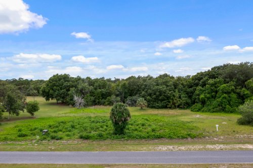 grand-oak-lane-lot-35--tavares--fl-32778---10.jpg