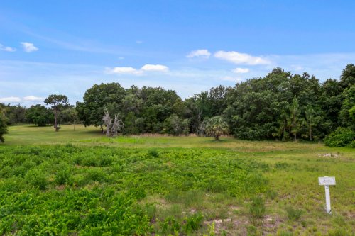 grand-oak-lane-lot-35--tavares--fl-32778---11.jpg
