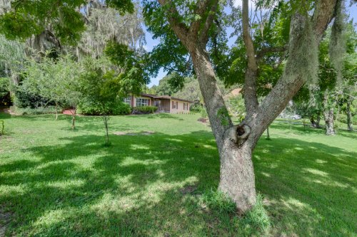 10945-big-tree-lane--clermont--fl-34711---31.jpg