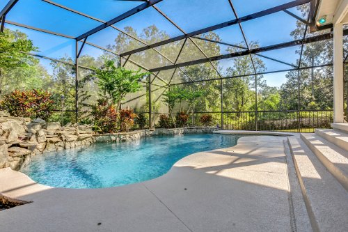 16201-magnolia-creek-lane--montverde--fl-34756---34.jpg