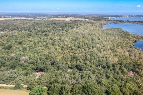 16201-magnolia-creek-lane--montverde--fl-34756---aerial---44.jpg