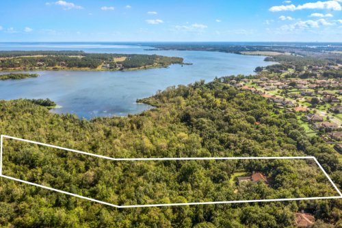 16201-magnolia-creek-lane--montverde--fl-34756---aerial---49-edit.jpg