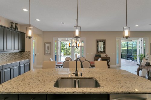 9243-busaco-park-way--winter-garden--fl-34787---11.jpg