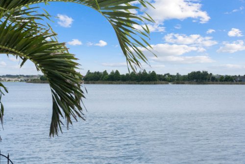 383-blue-cypress-drive--groveland--fl-34736---51.jpg