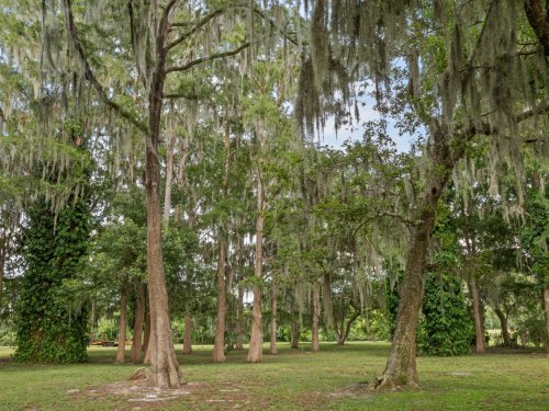 1059-south-lake-avenue--st.-cloud--fl-34771---03.jpg