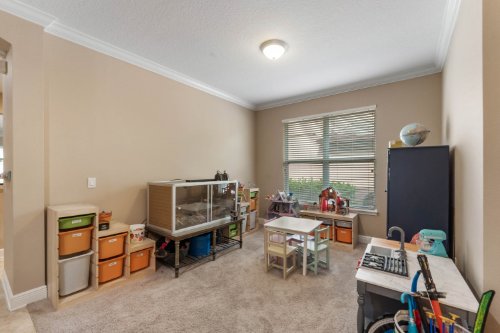 13522-darchance-road--windermere--fl-34786---33.jpg