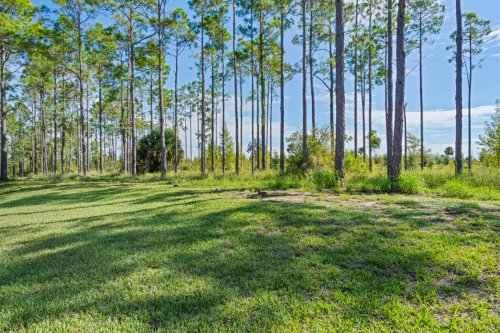 510-north-hampton-drive--davenport--fl-33897---48.jpg