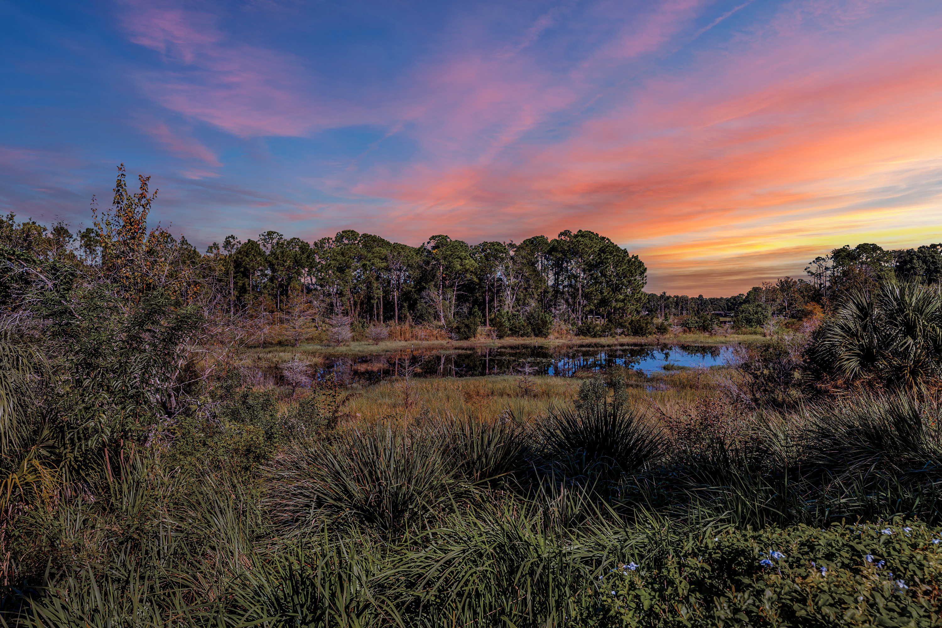 19136-2532-civitas-place--casselberry--fl-32707---43-yj-twilight.jpg